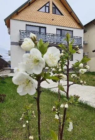 Casuta Noastra - Guest house Sulina